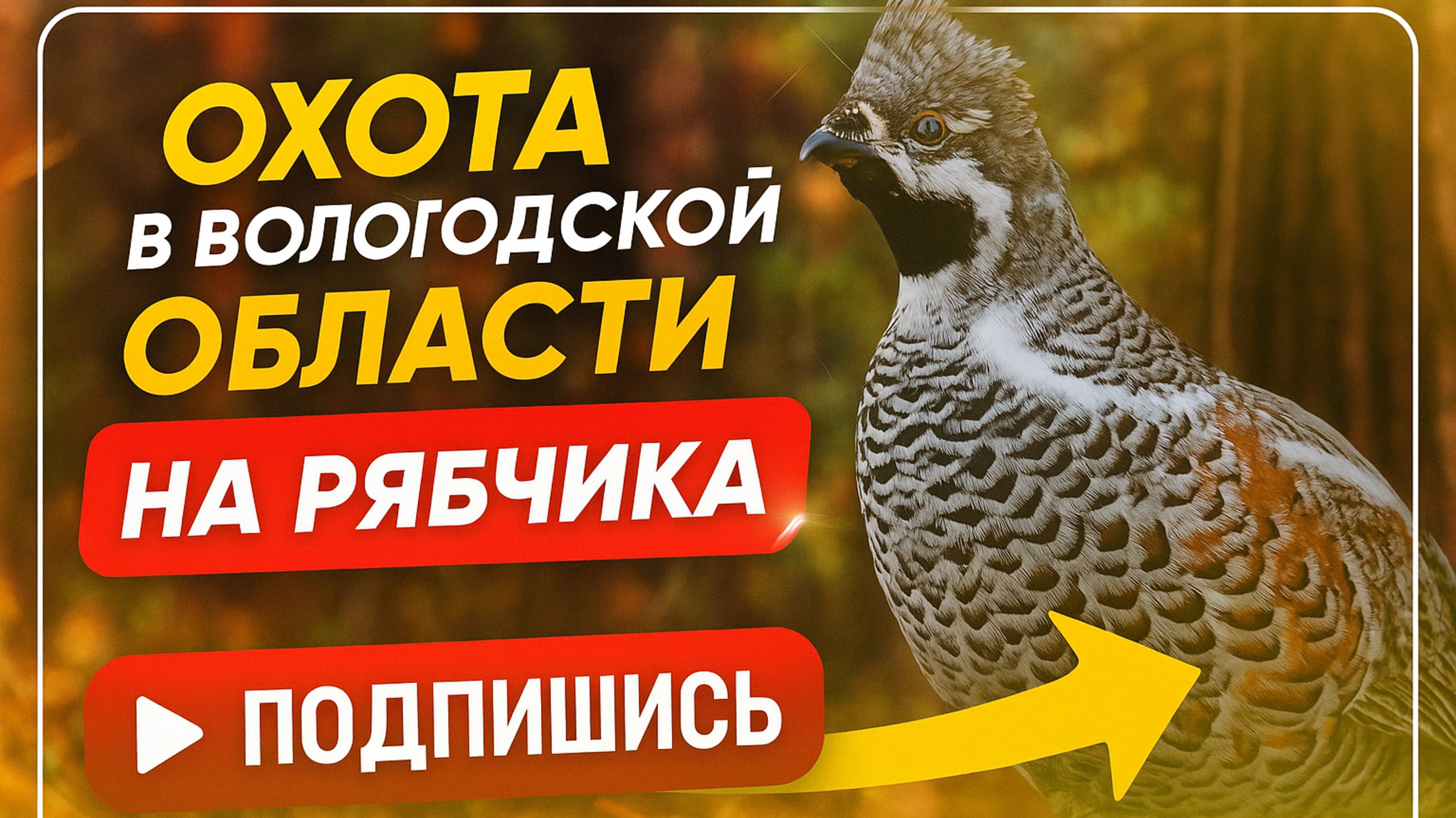 Удачный выезд на рябчика! Красивая охота получилась. #манки #рябчик #охота #мужскоедело #лес #медве