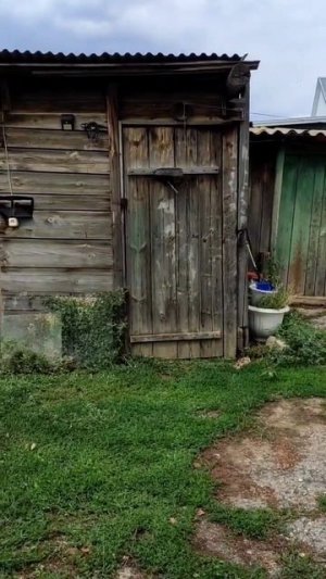 нож в кабачок