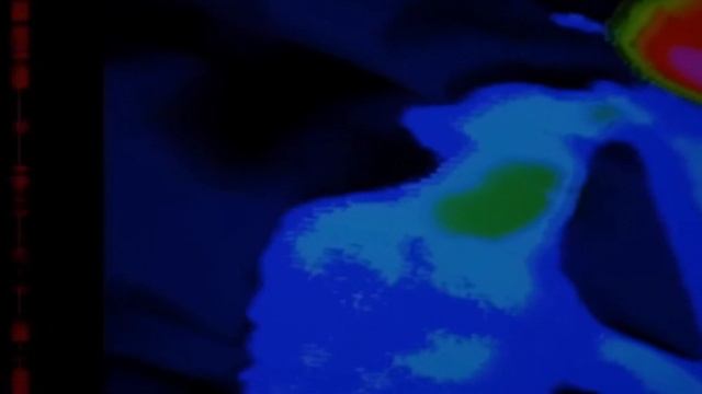 Хищник против эльфов (трейлер)