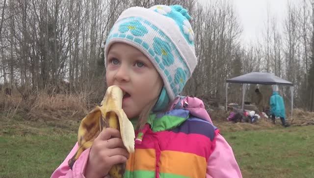 Маёвка 2018.Посадка ореховых деревьев.Вологда.