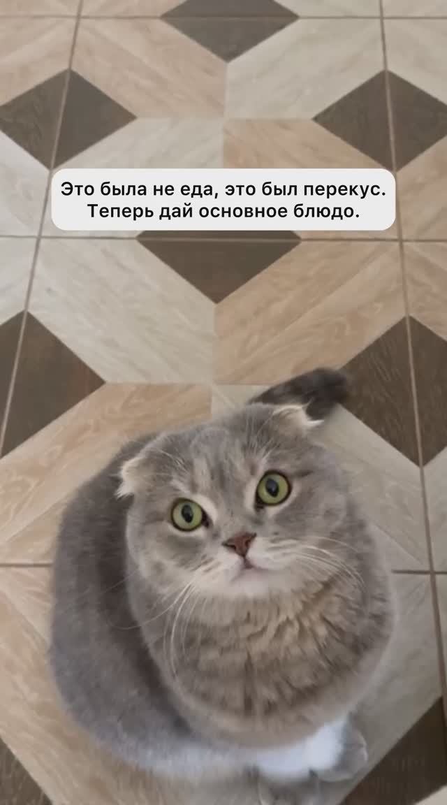 Когда кожаные едят, а мне не дают.