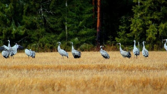 И в каждой строчке вдохновенье смотреть онлайн