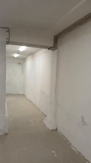 20251006-124039 смотреть онлайн