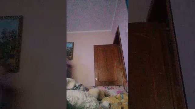 дзд смотреть онлайн