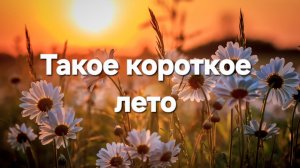 Такое короткое лето