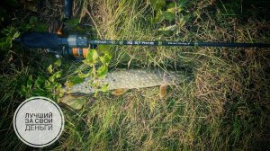 CF STRIKE 712ULS | А ОН ХОРОШ! | НАКАЗАЛИ ХОЗЯЙКУ ВОДОЕМА