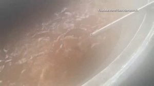 Гигантский мясной Пулау.