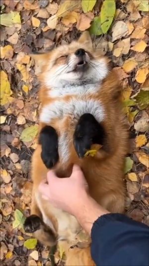 Балдежница👍🤗