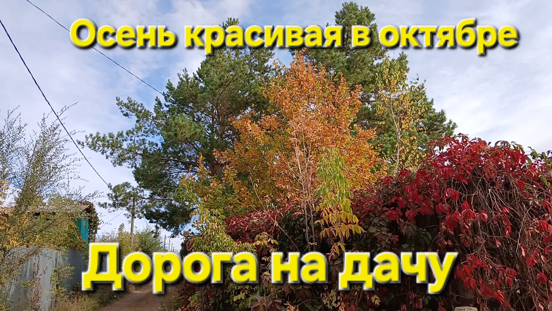 #Осень в октябре и осенняя дорога💖👍#Прогулка смотреть онлайн