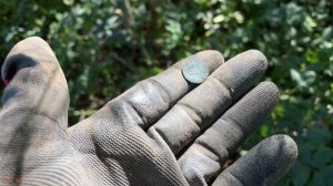 Накопал монет с Garrett Vortex Серебро