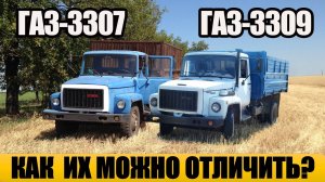 Многие путают эти грузовики…Секрет различий ГАЗ-3307 и 3309!