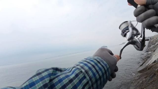 Как ловить крабов на пилькера.#рыбалка #fishing #낚시