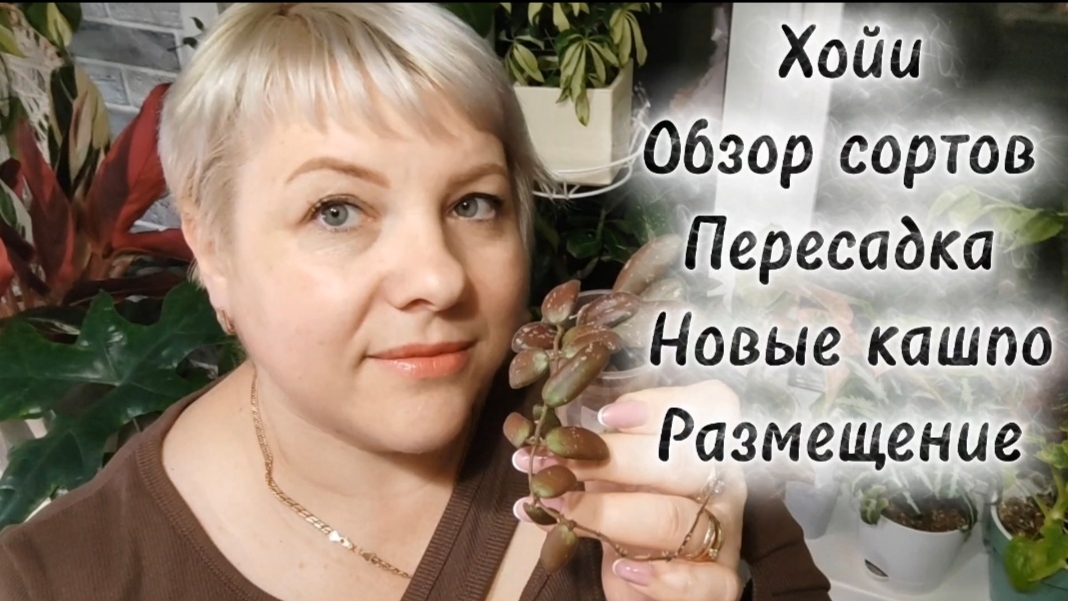 ХОЙИ | ПЕРЕСАДКА | ОБЗОР СОРТОВ | НОВЫЕ КАШПО | РАЗМЕЩЕНИЕ В ИНТЕРЬЕРЕ смотреть онлайн