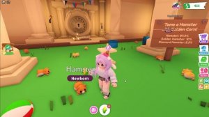 РАЗДАЮ ПИТОМЦЕВ ЗА РОБАКСЫ! Roblox Adopt Me
