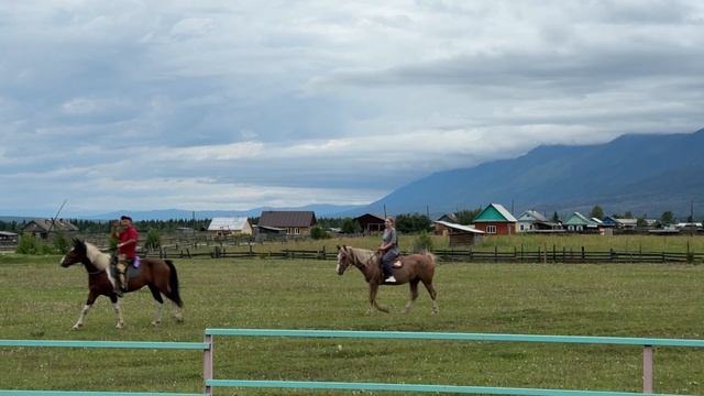 ТОЛИ ТВ. Тагархайские хонгодоры.