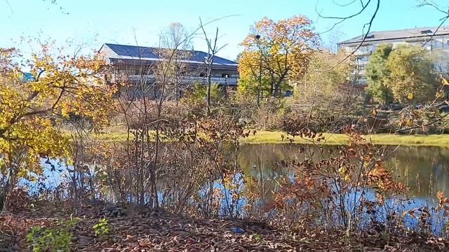 07-10-2025 - Лучегорск