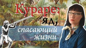 Путь охотничьего яда из джунглей в медицину