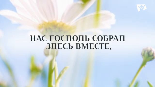 Как приятно смотреть онлайн