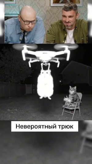 Привет #юмор #смешно #кот #дрон #нейросеть #ai #aivideo #shortvideo #short #shorts #video #смех #ии