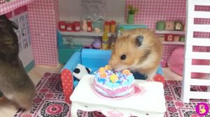 ПРАНК НА 23 ФЕВРАЛЯ ** ЗЮМА НЕ ОЖИДАЛ