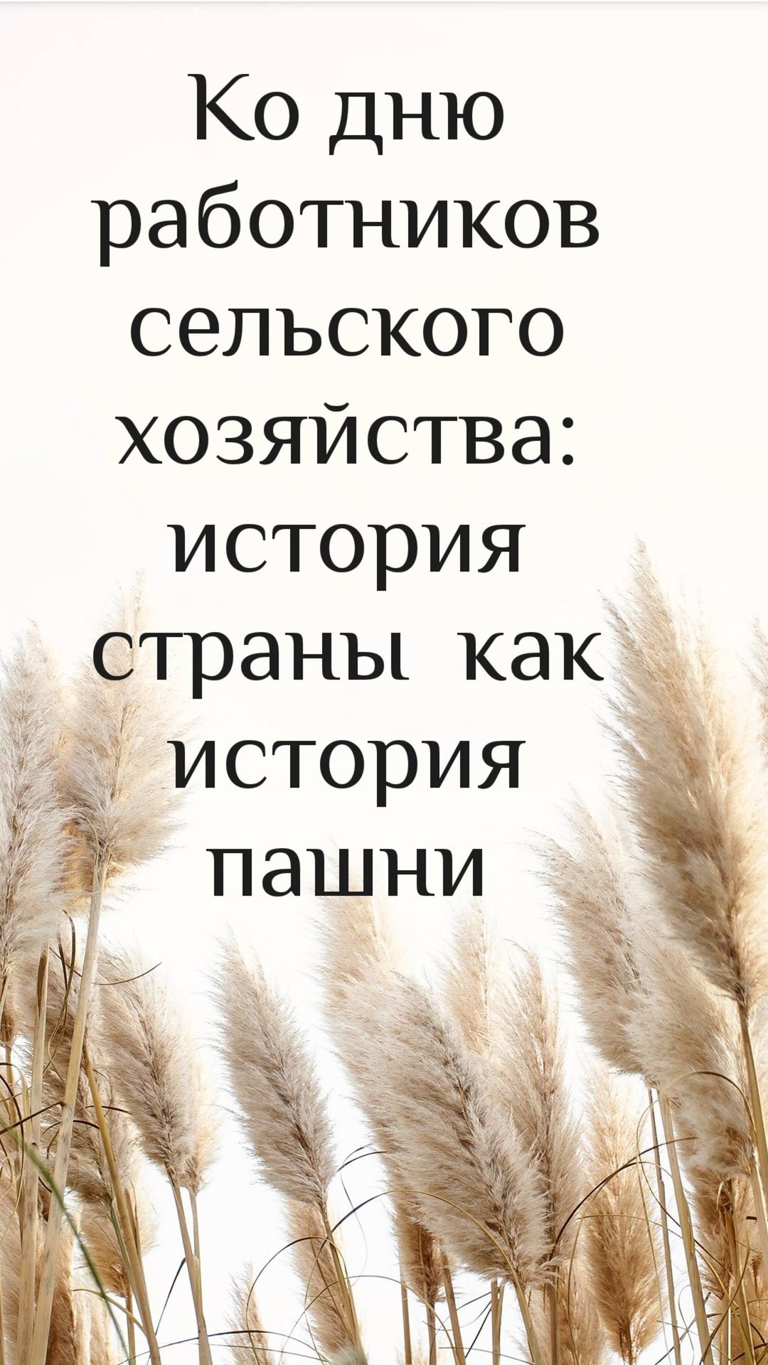 Ко Дню работников сельского хозяйства: история страны как история пашни