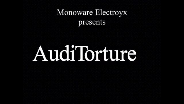 AudiTorture [get-save.com]
