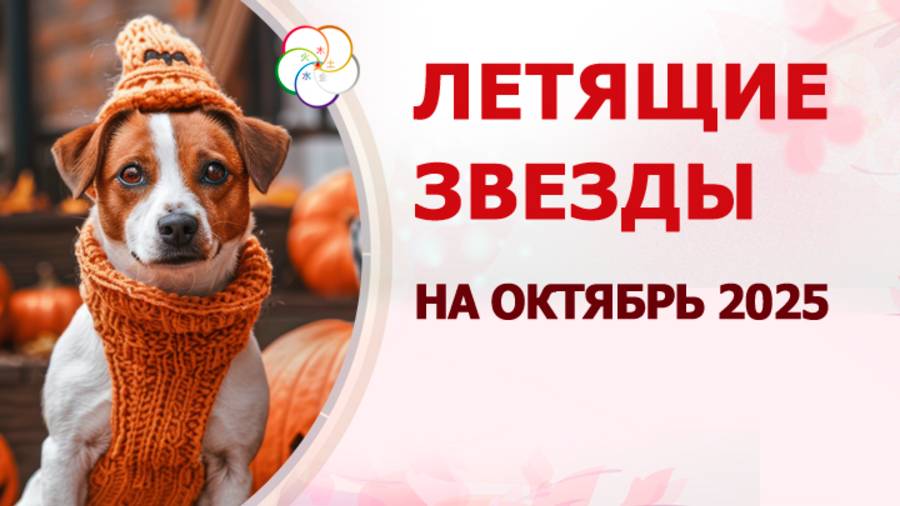 ФЭН ШУЙ 2025: прогноз по летящим звездам на ОКТЯБРЬ 2025 смотреть онлайн