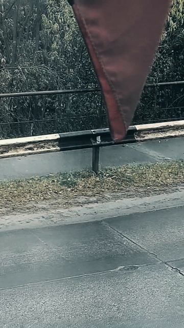 Дождливая погода сегодня 🌧️ смотреть онлайн