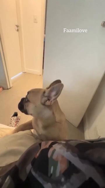 Поддержи подпиской🙏 смотреть онлайн