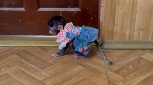 Маленькая Анфиса с Басиком не могут меня поделить, а в КАКАДУРКЕ как всегда весело)))