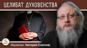 ЦЕЛИБАТ КАТОЛИЧЕСКОГО ДУХОВЕНСТВА. Православие и католицизм #8. Иеромонах Нектарий (Соколов)