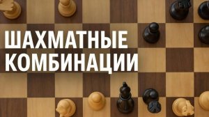 Шахматные комбинации. Серия №1. Понятие комбинации, комбинационные элементы