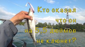 СУДАК на запрессованном месте. Просто ловить надо уметь.