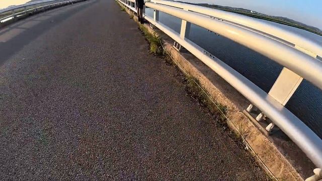 ДИКИЙ САЗАН, КАРАСЬ И ВЕРХОГЛЯД ДУПЛЕТОМ НА ПАУК ПОДЪЕМНИК. #낚시 #рыбалка #fishing #carpfishing