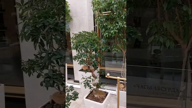 Москва. зимний сад, кремлевский дворец