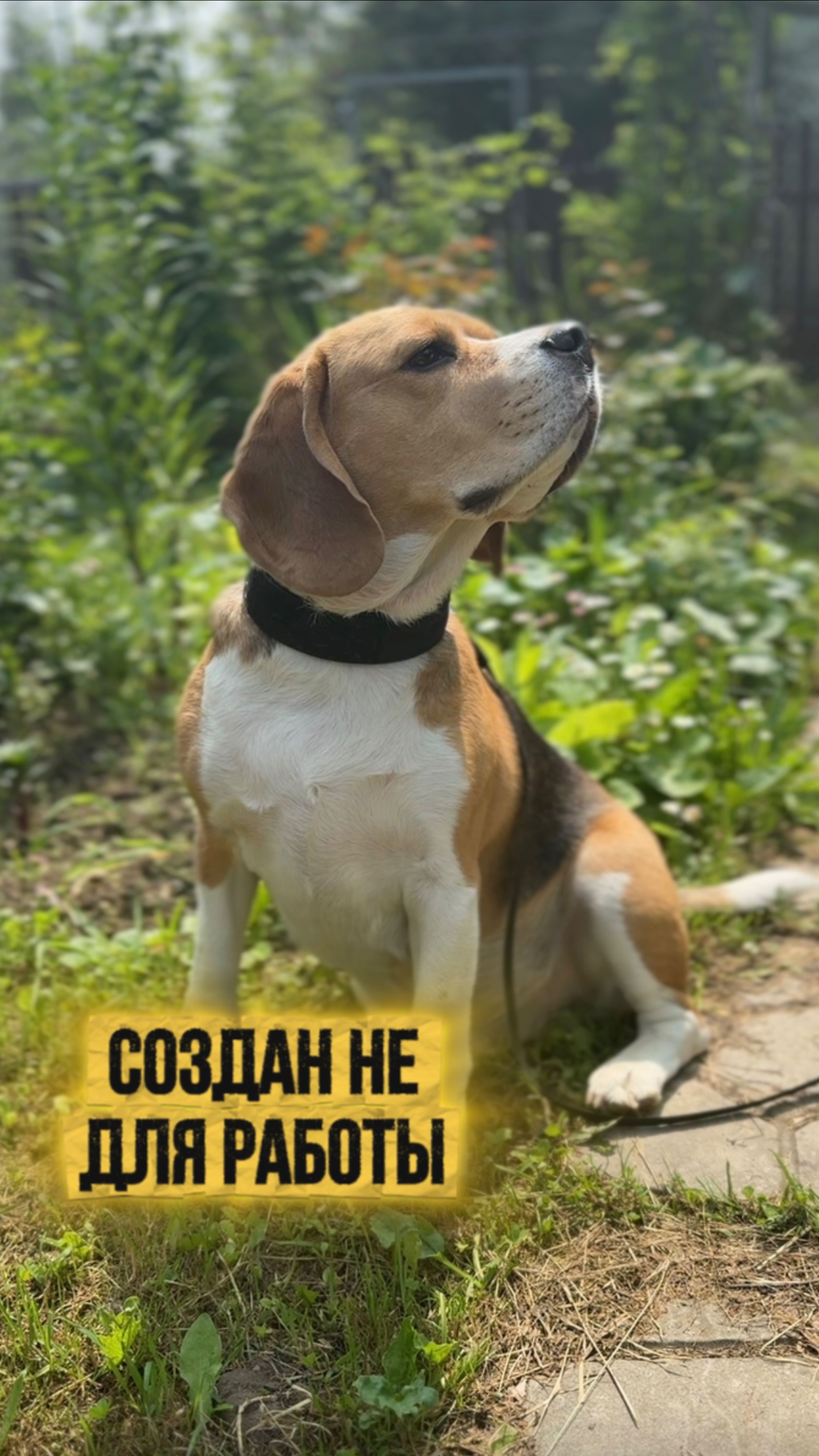 Как иначе 😌 смотреть онлайн