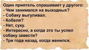Как соседка к соседу зашла. Сборник анекдотов