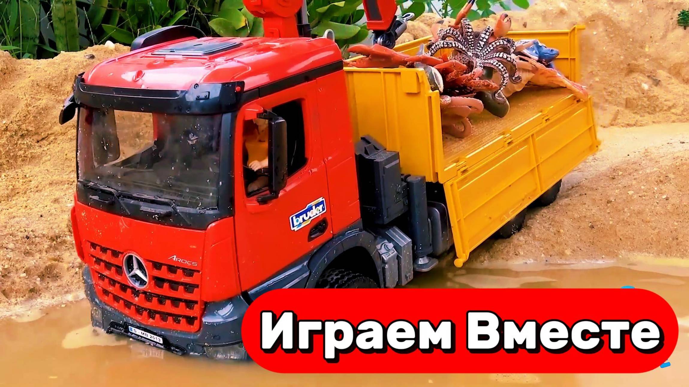 Играем вместе !