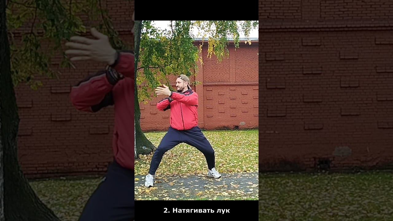 Натягивать лук. Цигун вечером