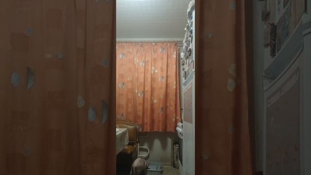 8025день