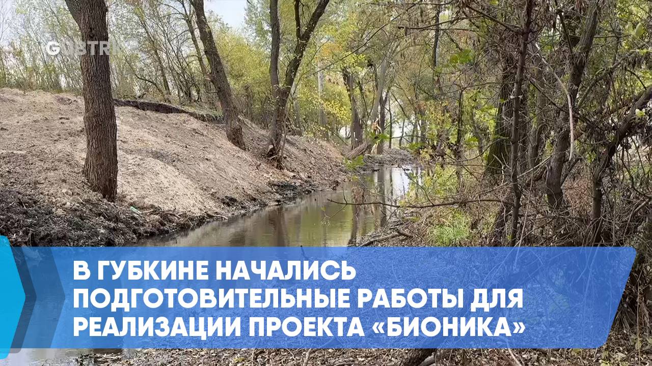 В Губкине начались подготовительные работы для реализации проекта «БИОНИКА» смотреть онлайн