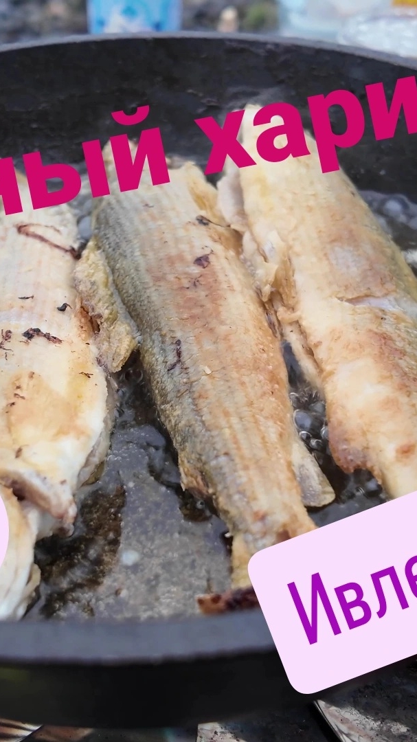 жаренный хариус