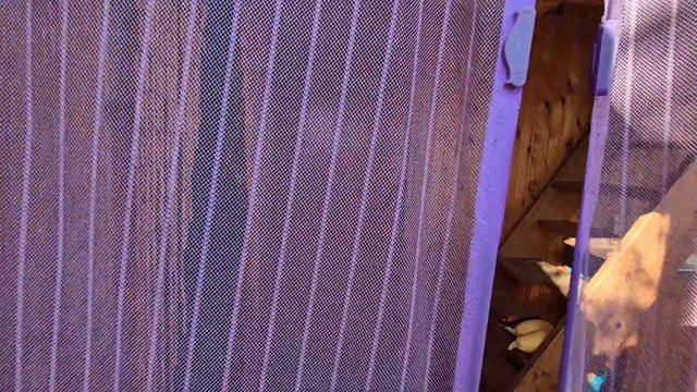 СНТ Металлист. Монзино. Нижний Тагил смотреть онлайн