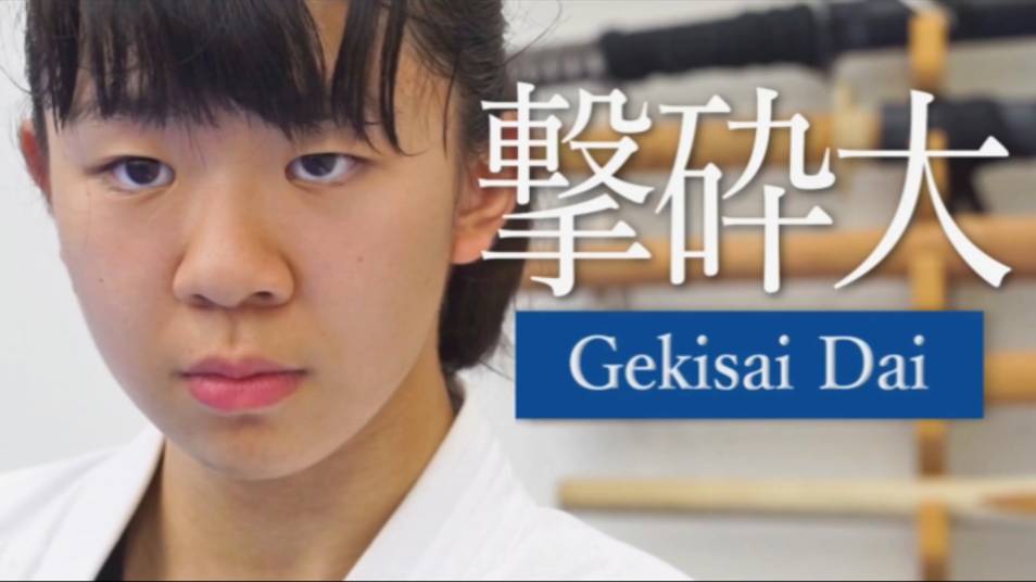 Гекисай Дай - Ката Карате Кёкусинкай (Gekisai Dai - 撃破大)v.3 смотреть онлайн