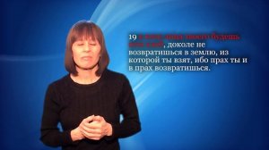 Были ли у змея крылья?