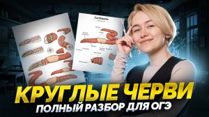 Тип Круглые черви | Полный разбор для ОГЭ по биологии | Умскул