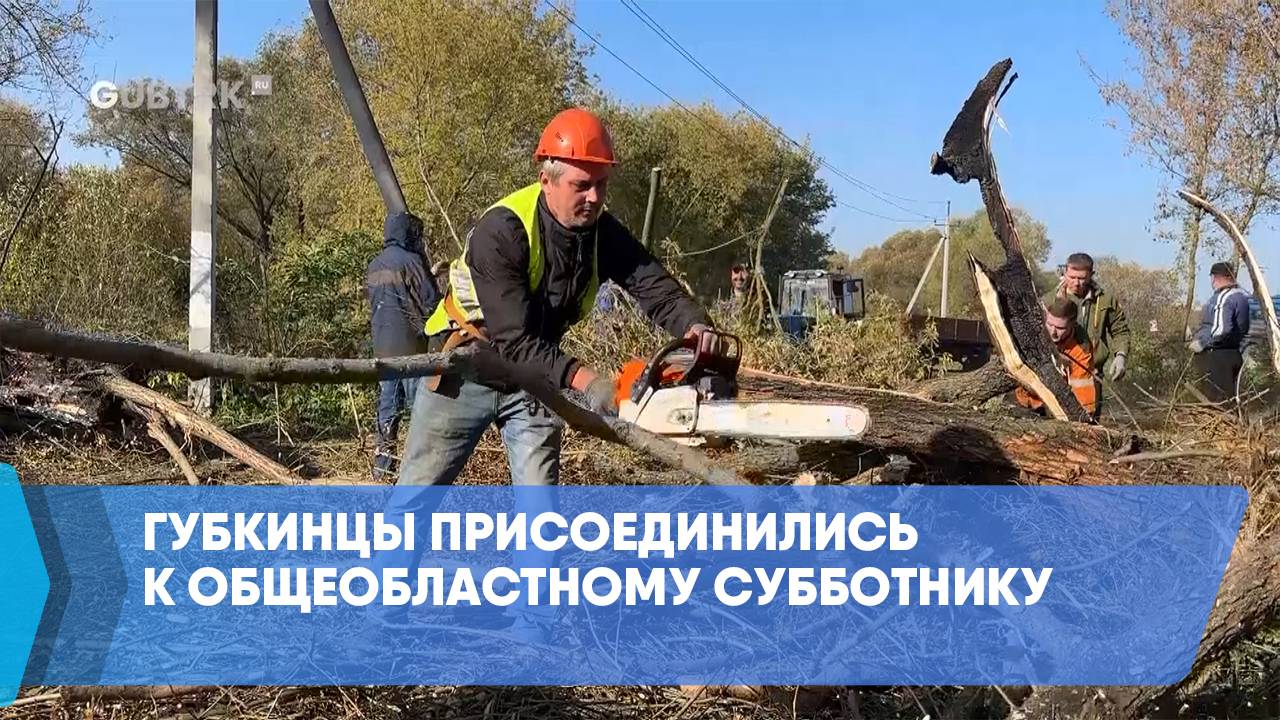 Губкинцы присоединились к общеобластному субботнику смотреть онлайн