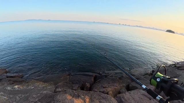 Ловлю макрель и палтуса в море. Южной Корее! #낚시 #рыбалка #fishing #кино #рыбалканафидер