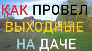 Про утеплитель и борьбу с хитрым котом