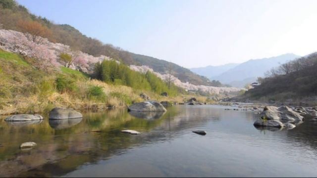 Весна , река смотреть онлайн